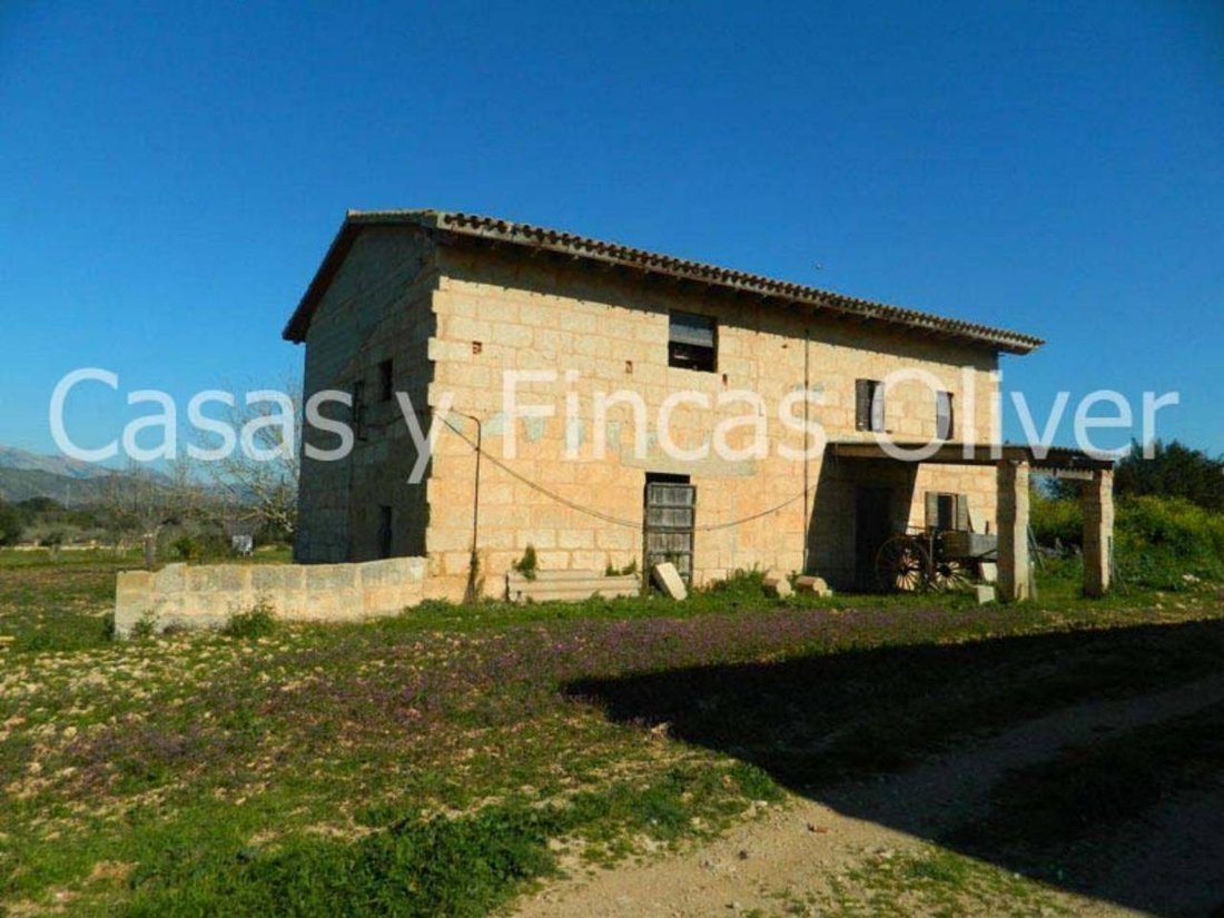 Landhaus in Llubí, Balearische Inseln, Spanien 3 - 18350382