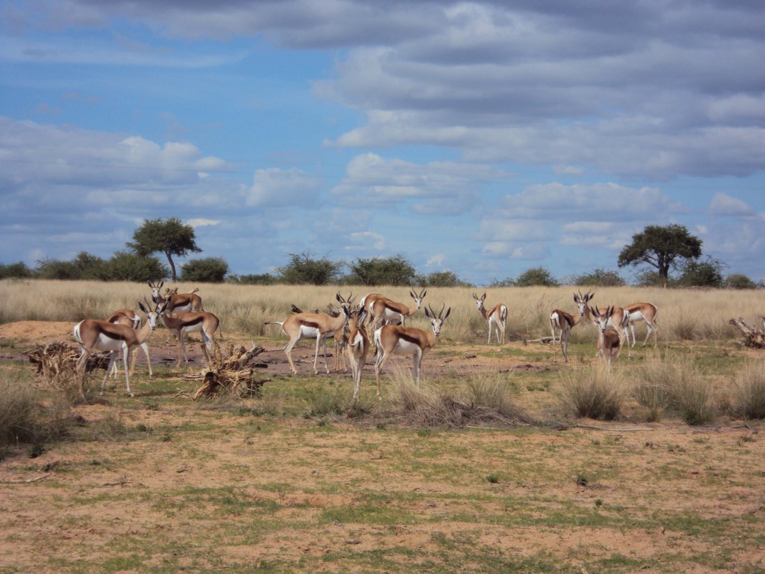 Estate in Omaruru, Erongo Region, Namibia 4 - 18350283