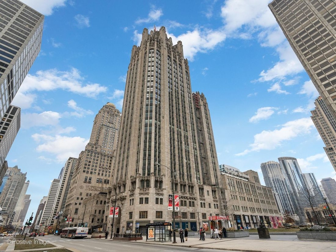 Condo in Chicago, Illinois, United States 1 - 18350330