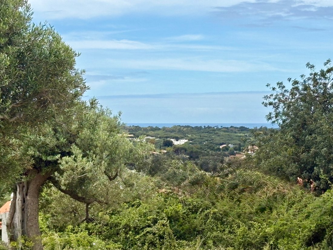 Land in Loule (Sao Sebastiao), Algarve, Portugal 4 - 18350507