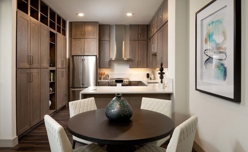 House in Plano, Texas, United States 1