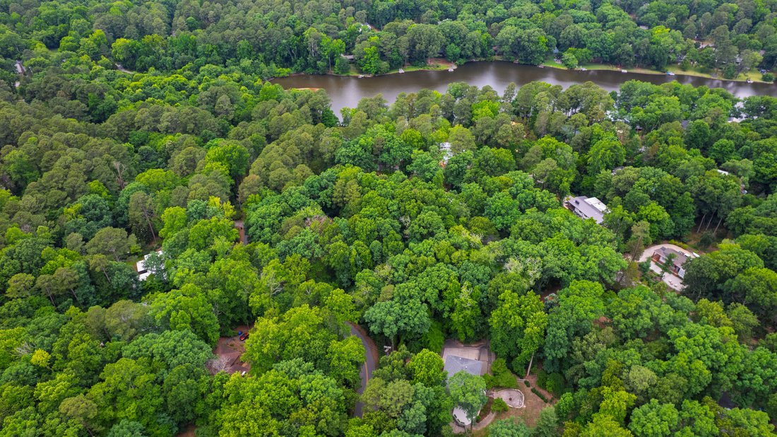 House in Chapel Hill, North Carolina, United States 5 - 18352737
