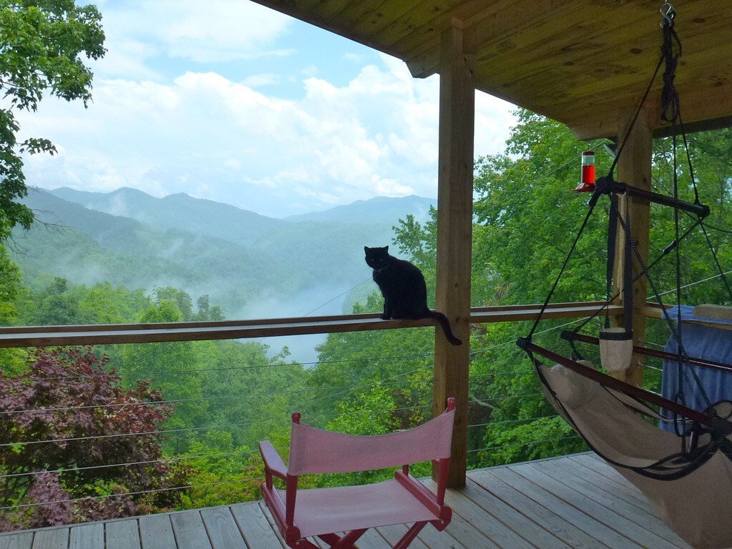 House in Robbinsville, North Carolina, United States 5 - 18354063