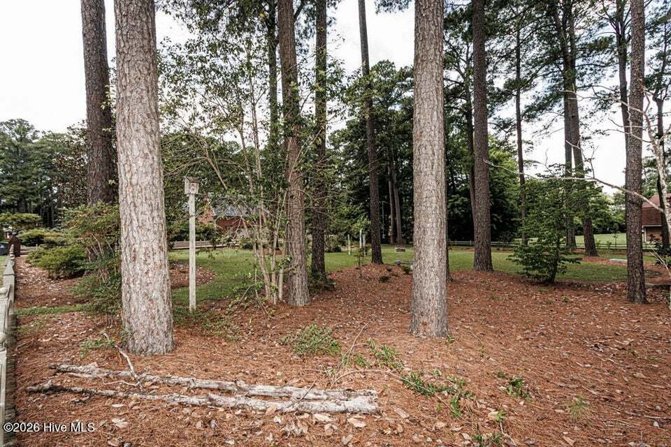 House in Rocky Mount, North Carolina, United States 2 - 18352946