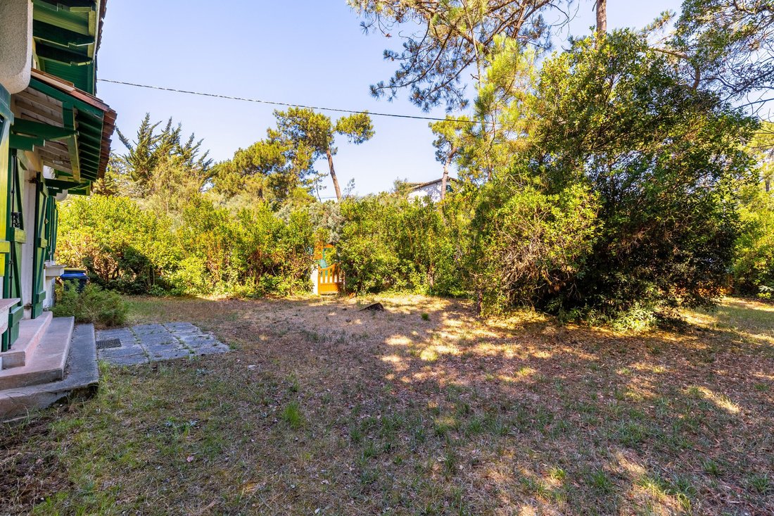 House in 33970 Le Cap-Ferret, Lège-Cap-Ferret, Nouvelle-Aquitaine 1 - 15915519