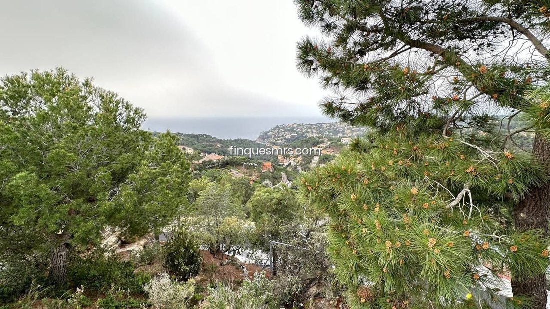 Villa in Lloret de Mar, Catalonia, Spain 5 - 18354724