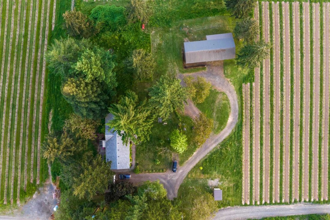 House in Yamhill, Oregon, United States 5 - 18353116