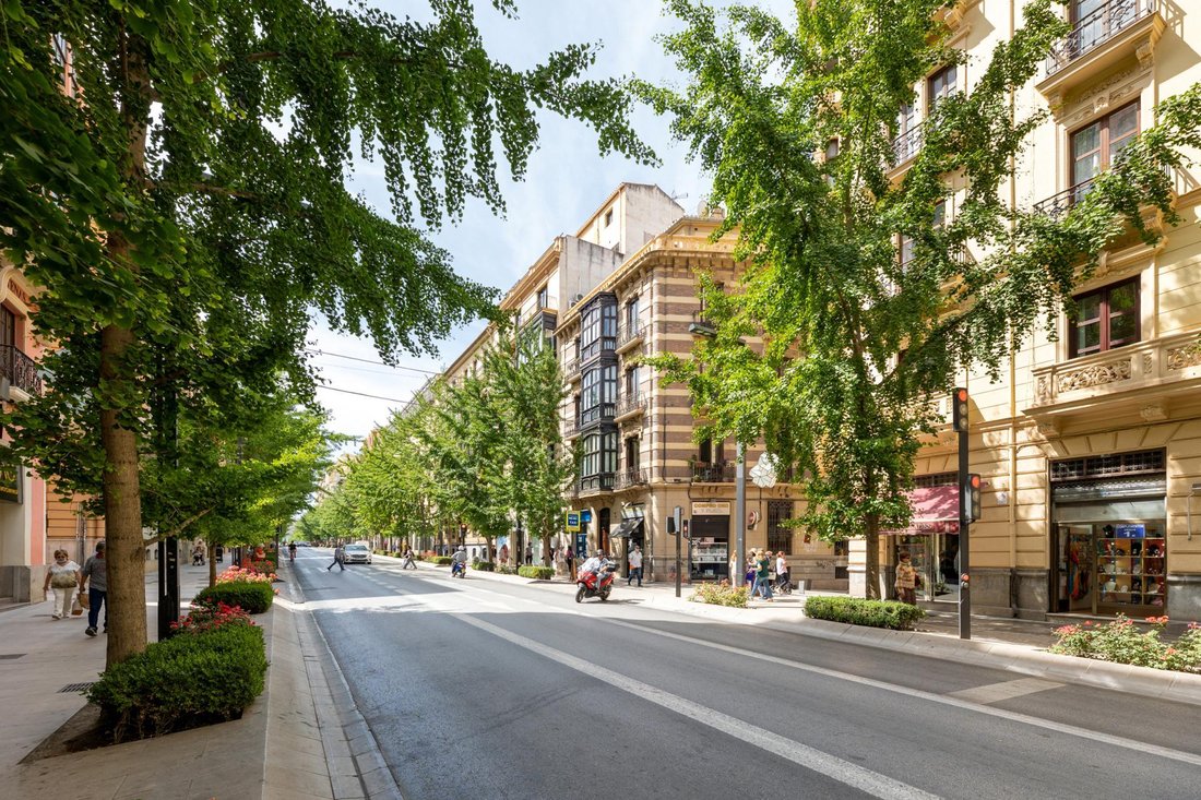 Penthouse in Centro, Granada, Spain 3 - 18354233