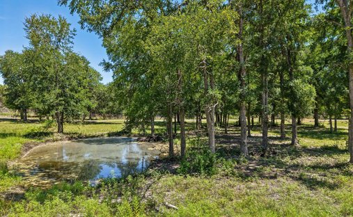 Bertram, Texas, United States 1