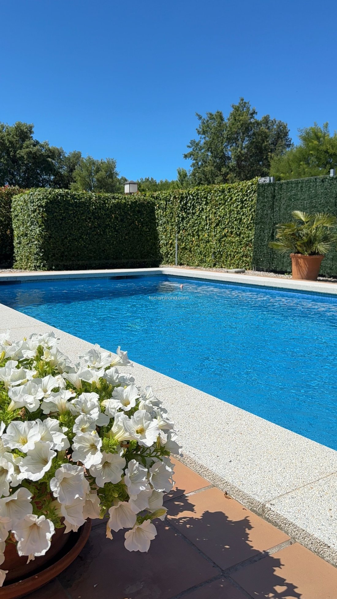 House in Navata, Catalonia, Spain 4 - 18351259