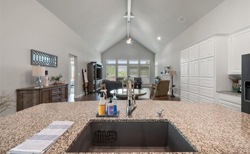 House in Mansfield, Texas, United States 1