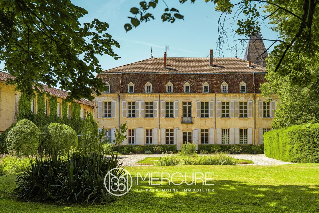 Castle in Vonnas, Auvergne-Rhône-Alpes, France 1 - 18351165