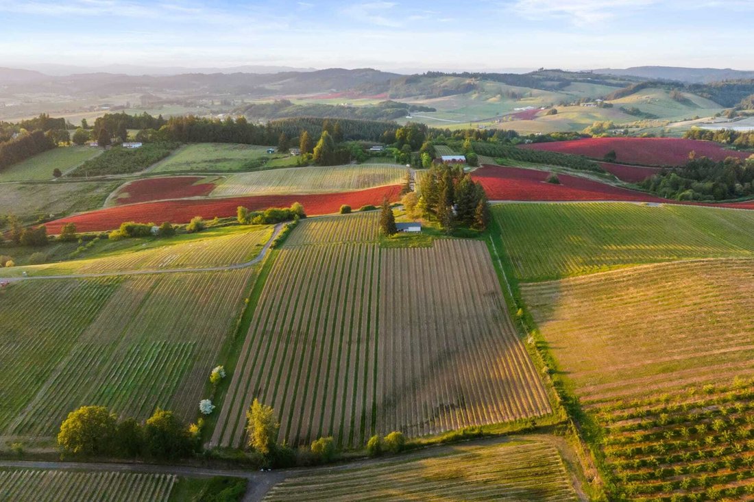 House in Yamhill, Oregon, United States 2 - 18353116