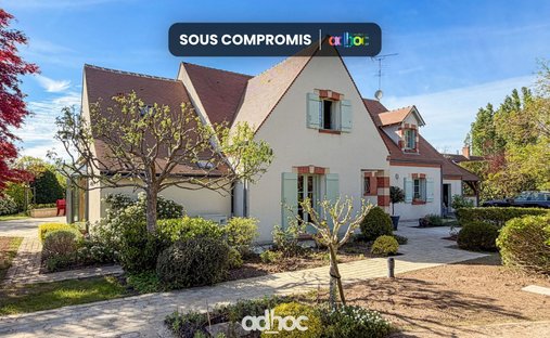 House in Centre, Olivet, France 1