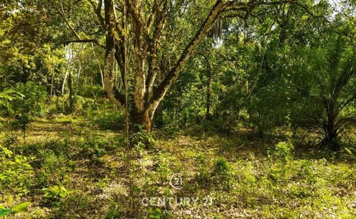 Land in San Mateo, Guanacaste Province, Costa Rica 1