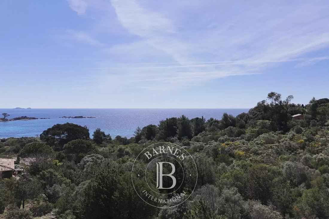 Land in Porto-Vecchio, Corsica, France 1 - 15924322