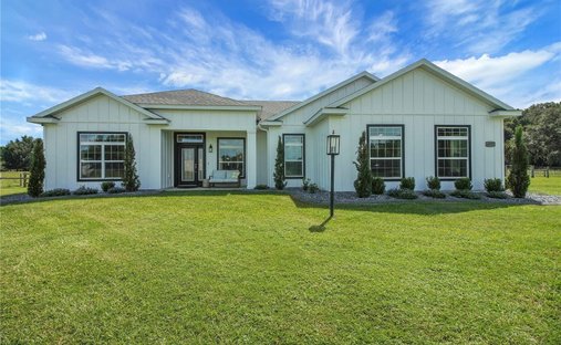 House in Wildwood, Florida, United States 1