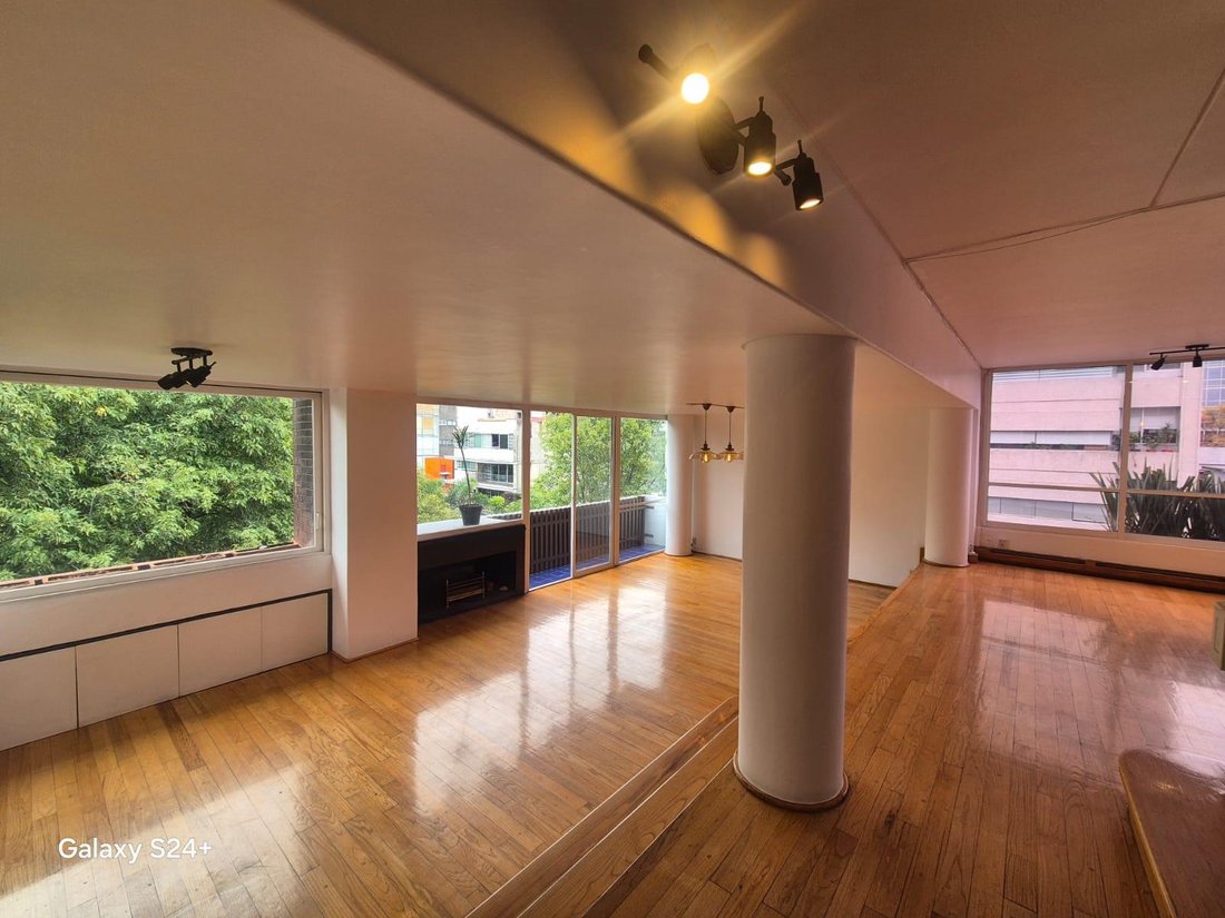 Apartment in Mexico City, Mexico 4 - 18353055