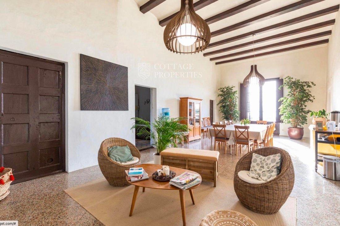 Finca in Pineda de Mar, Catalonia, Spain 1 - 18352651