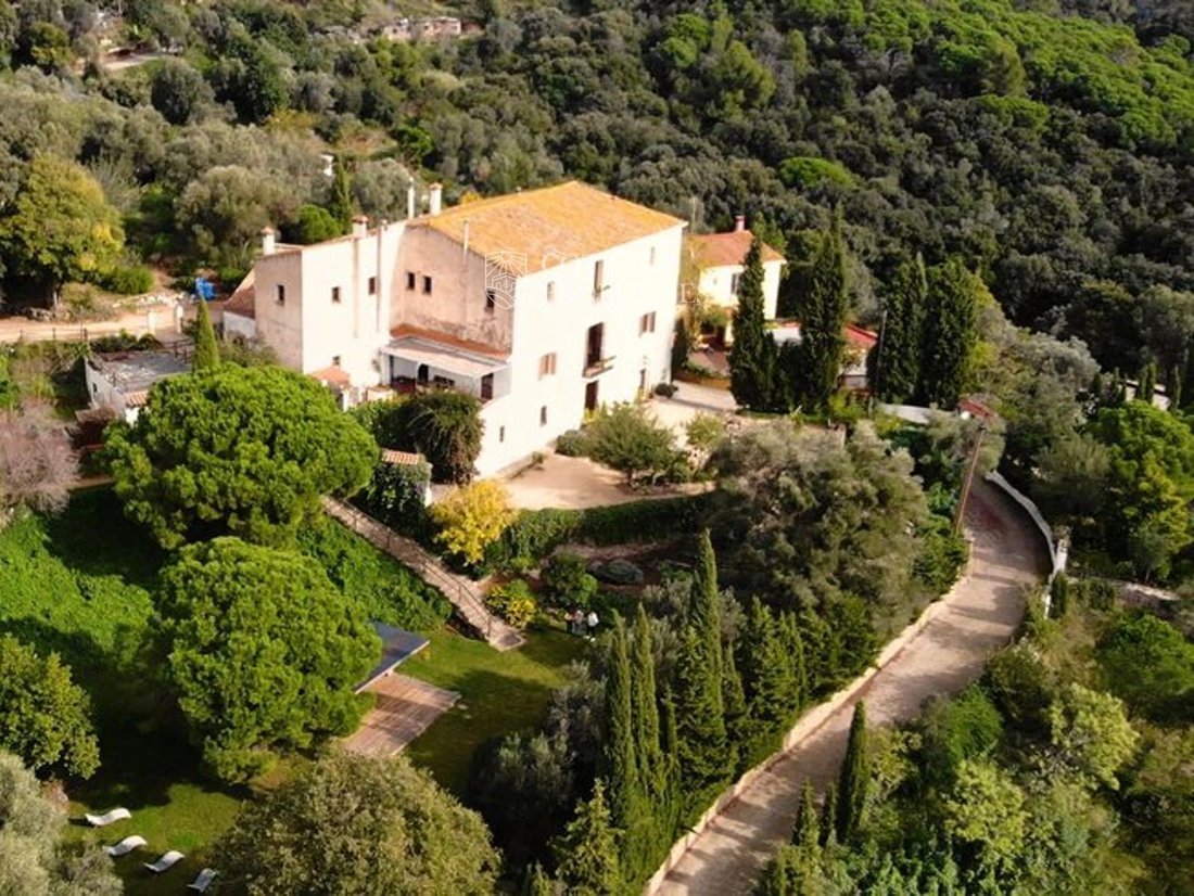 Finca in Pineda de Mar, Catalonia, Spain 3 - 18352651