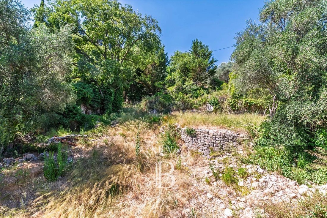 Land in Grasse, Provence-Alpes-Côte d'Azur, France 5 - 17429575