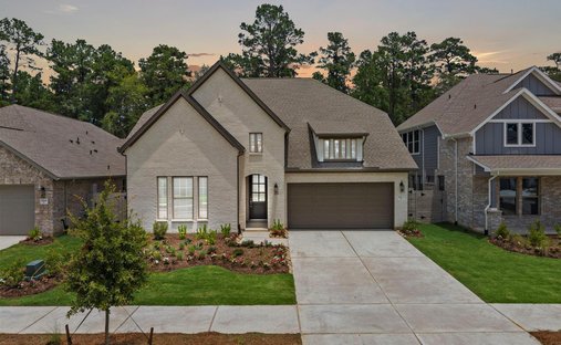House in Manvel, Texas, United States 1