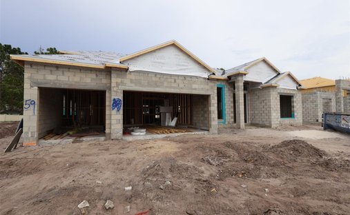 House in Oviedo, Florida, United States 1