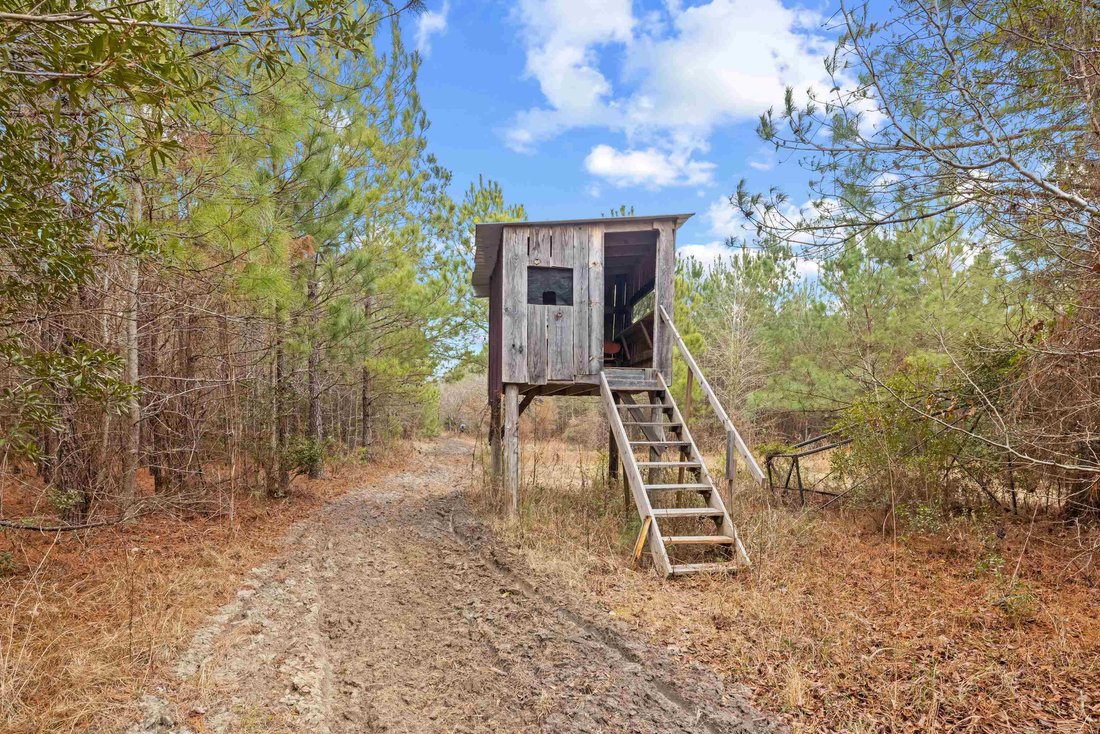 Land in Salters, South Carolina, United States 1 - 18352832