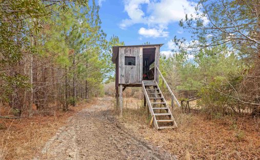 Land in Salters, South Carolina, United States 1
