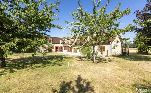 House in Moree, Centre-Val de Loire, France 1