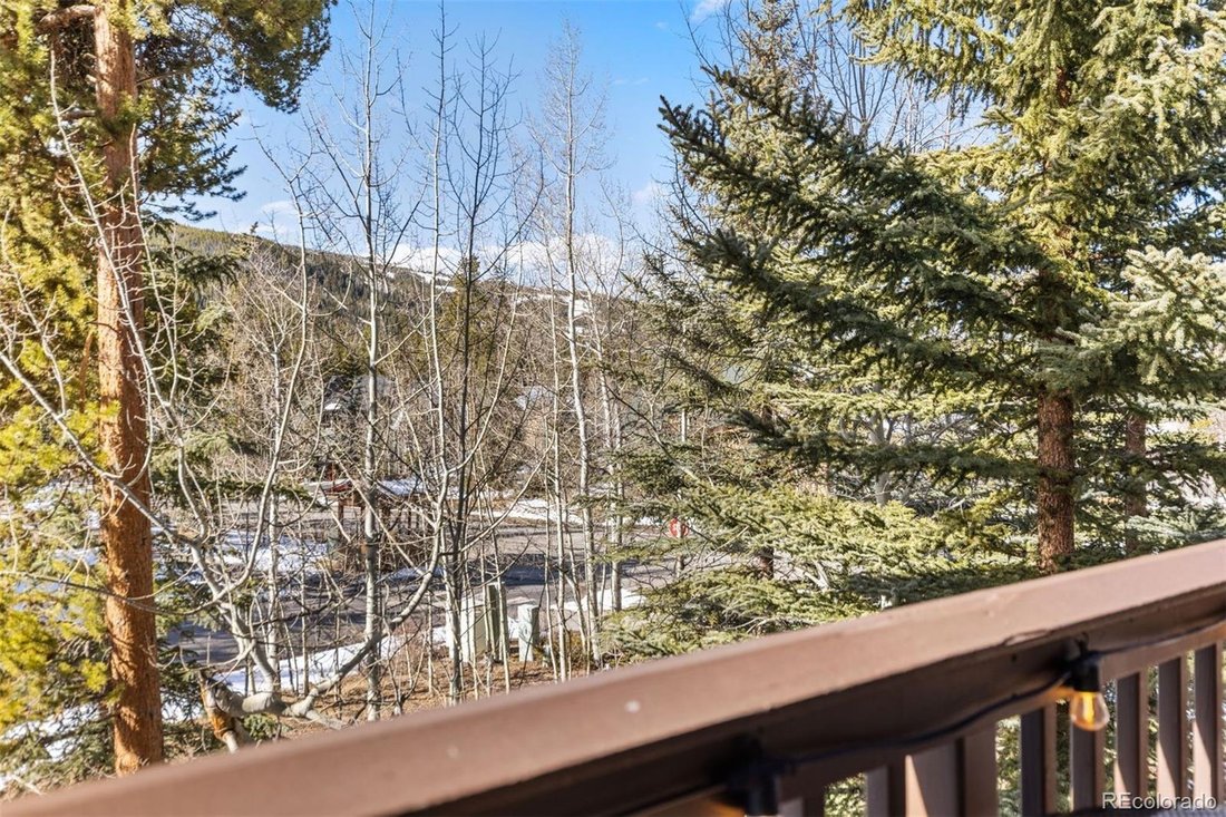 Condo in Dillon, Colorado, United States 3 - 18353983