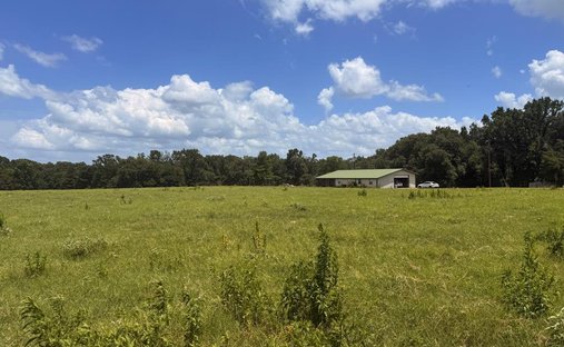 Azienda agricola a Murchison, Texas, Stati Uniti 1