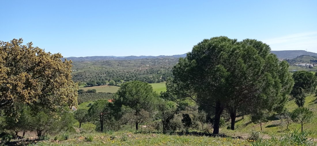 Land in Sao Bartolomeu de Messines, Algarve, Portugal 4 - 18355690