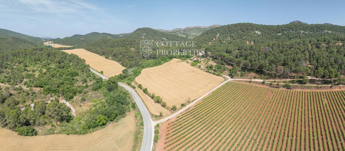 Finca in la Torre de Claramunt, Catalonia, Spain 3 - 18352821