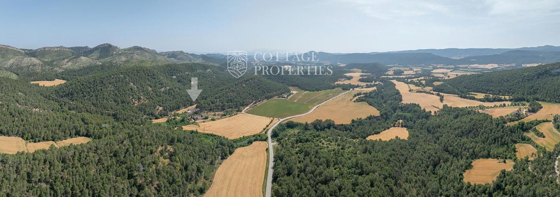 Finca in la Torre de Claramunt, Catalonia, Spain 2 - 18352821