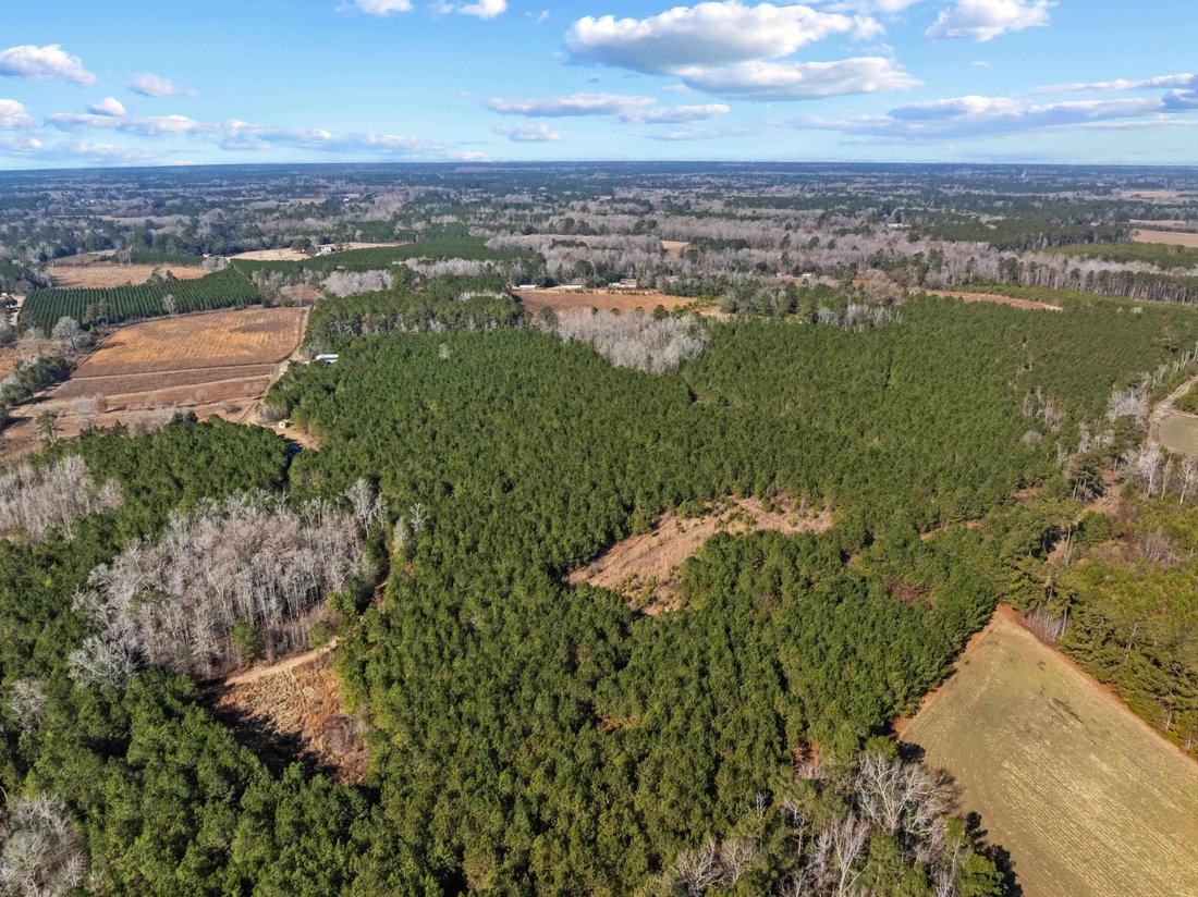 Land in Salters, South Carolina, United States 5 - 18352832