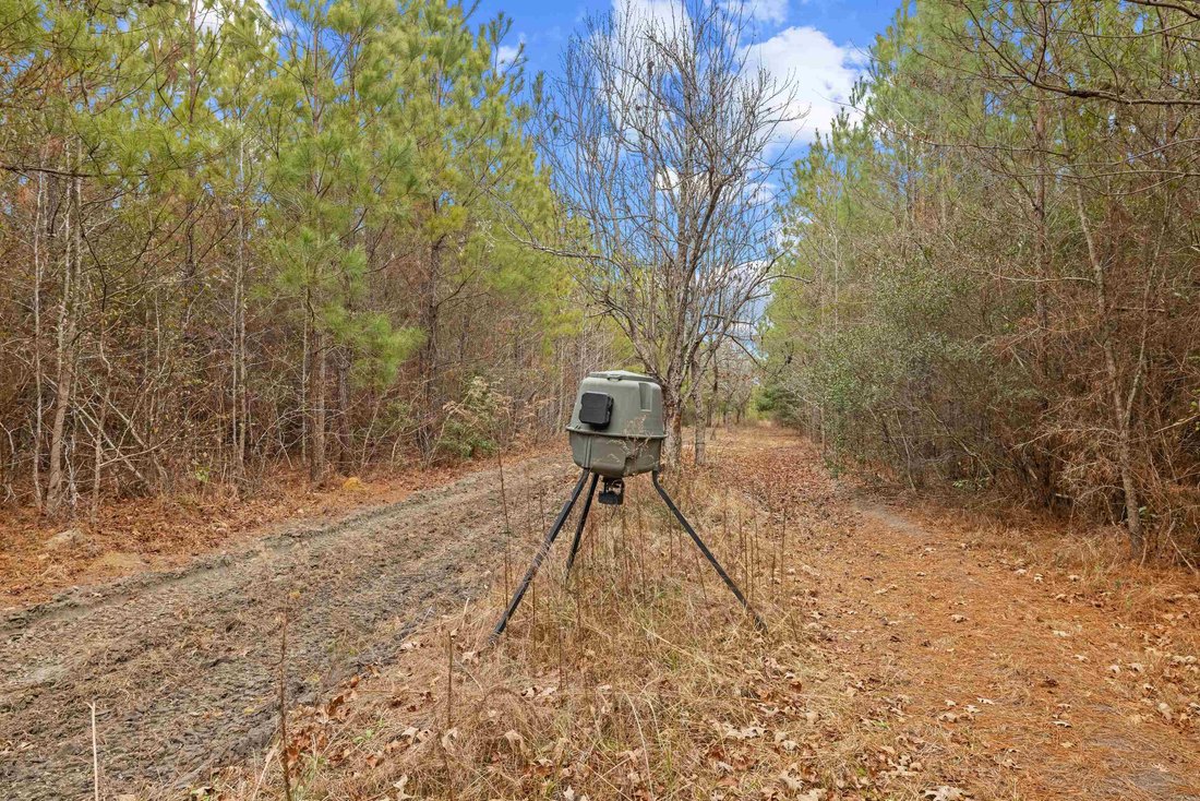 Land in Salters, South Carolina, United States 3 - 18352832