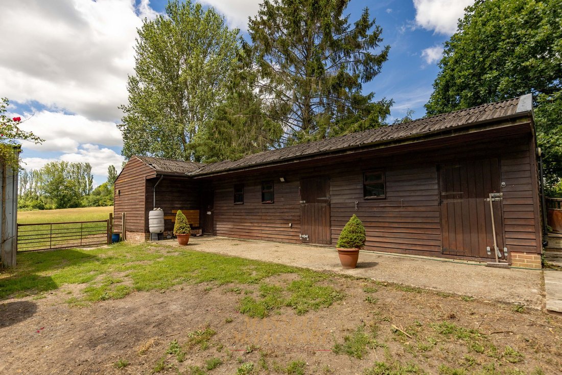 Farm Ranch in Balls Green, Hartfield, England 5 - 18352507