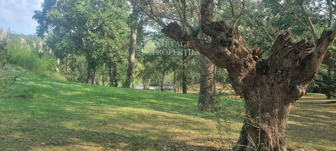 Finca in Santa Cristina d'Aro, Catalonia, Spain 5 - 18352415