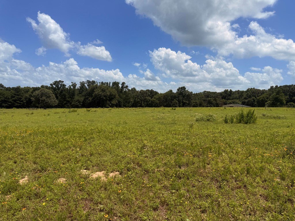 Farm Ranch in Murchison, Texas, United States 2 - 18353712