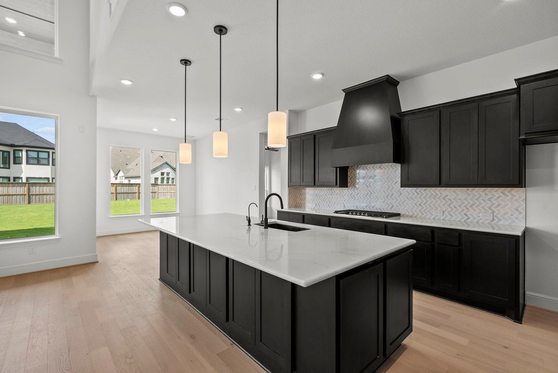 House in Houston, Texas, United States 4 - 18355316
