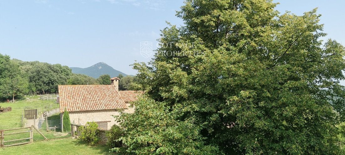 Finca in Montagut i Oix, Catalonia, Spain 2 - 18352667