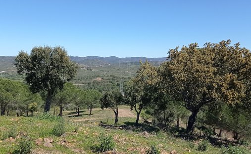 Land in Sao Bartolomeu de Messines, Algarve, Portugal 1