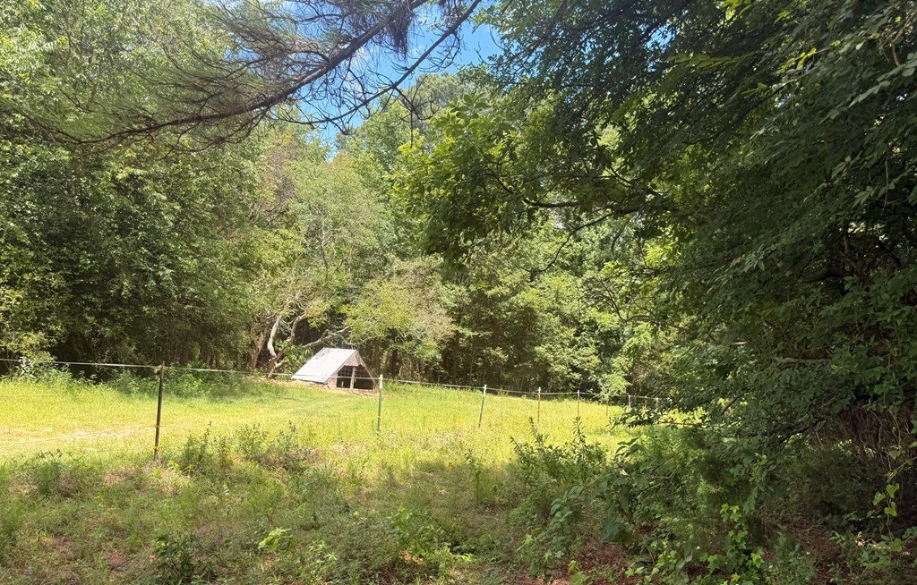 Farm Ranch in Murchison, Texas, United States 5 - 18353712