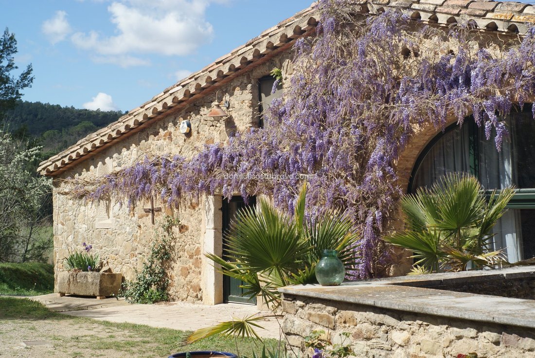 House in Sant Marti Vell, Catalonia, Spain 3 - 18351271