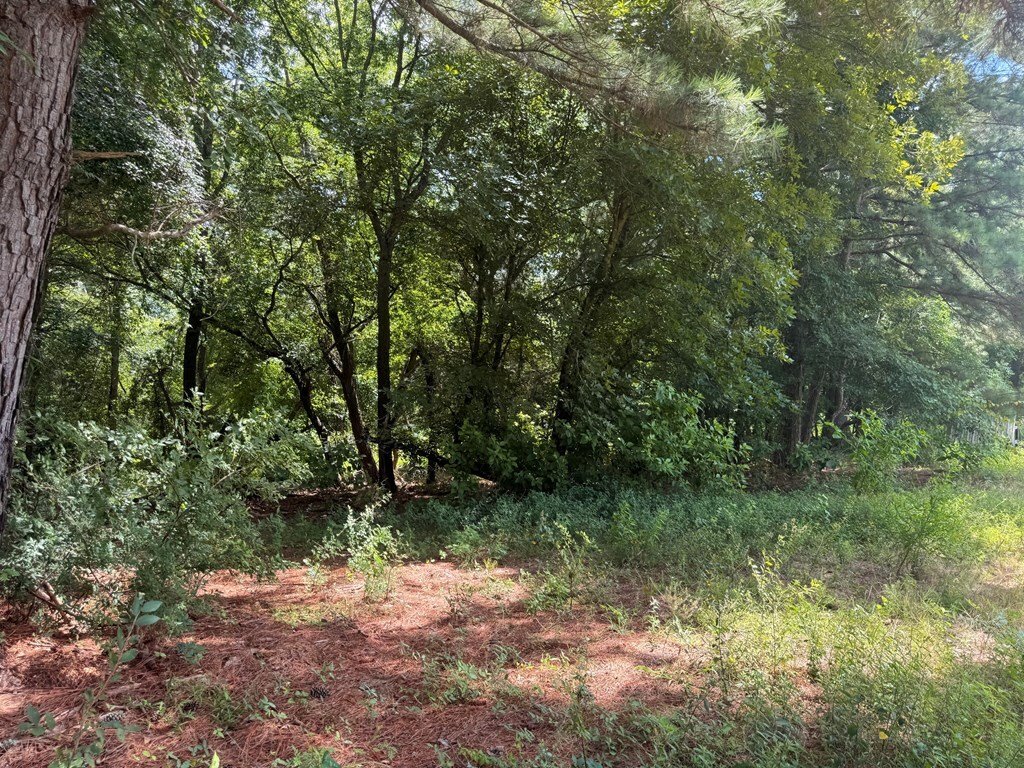 Farm Ranch in Murchison, Texas, United States 4 - 18353712