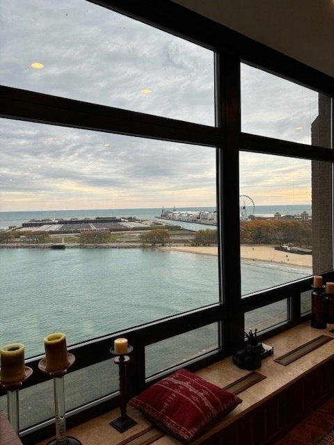 Condo in Chicago, Illinois, United States 3 - 18354713