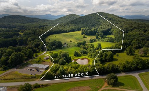 Farm Ranch in Cleveland, Georgia, United States 1