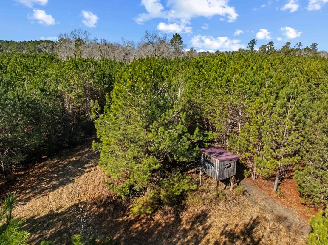 Land in Salters, South Carolina, United States 4 - 18352832