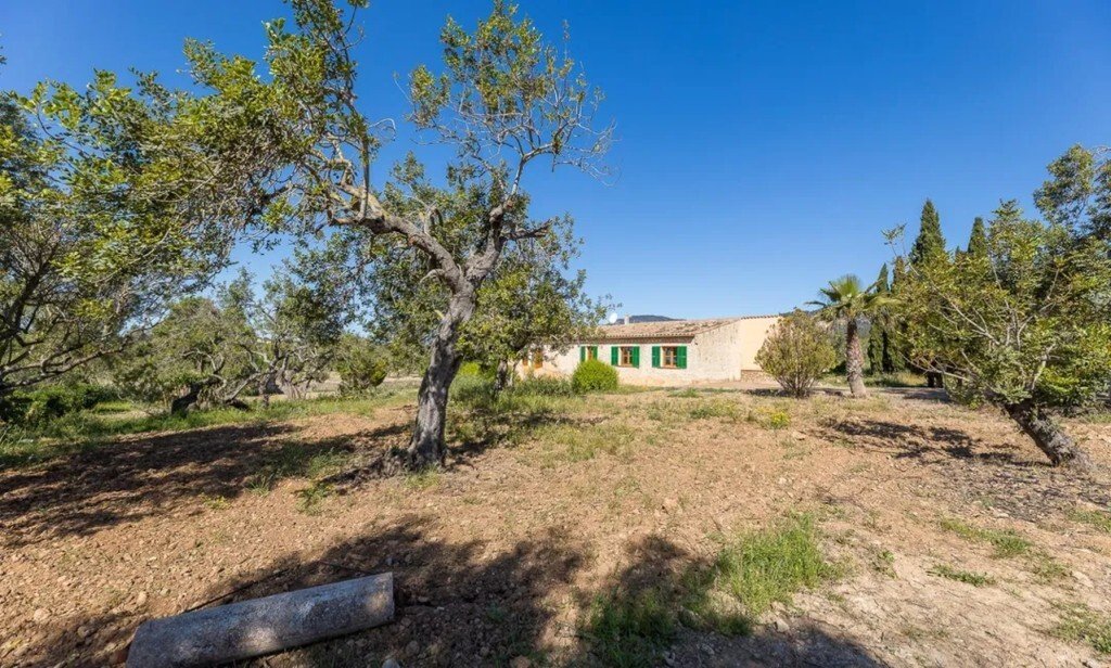 Farm Ranch in Alaro, Balearic Islands, Spain 1 - 16469788
